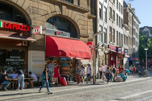 10 façons d'aider à lutter contre la déforestation depuis chez soi